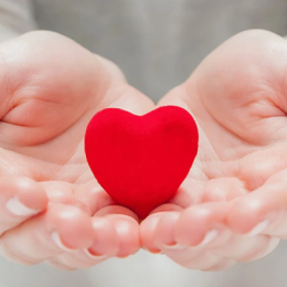 The Benefits of Charitable Giving article image